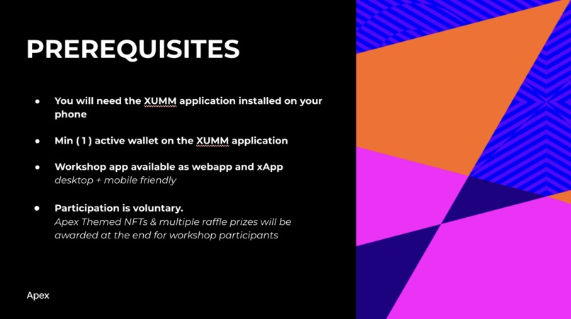 BRINGING NFTs TO LIFE ON THE XRP LEDGER - NFT Workshop App – screenshot 3