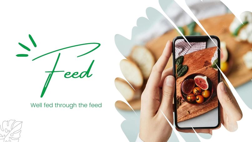 Feed [Team 11] – screenshot 1