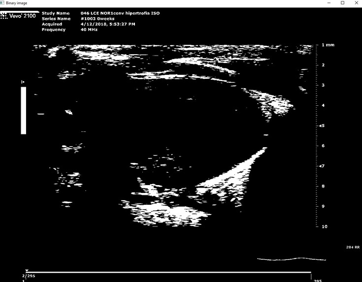 Cor al pit – screenshot 3
