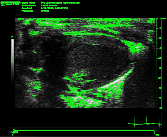 Cor al pit – screenshot 5