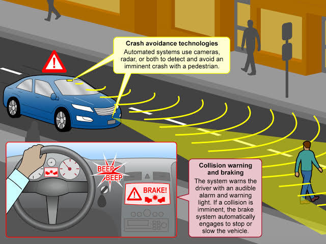PEDESTRIAN AND ANIMALS SAFETY  – screenshot 1