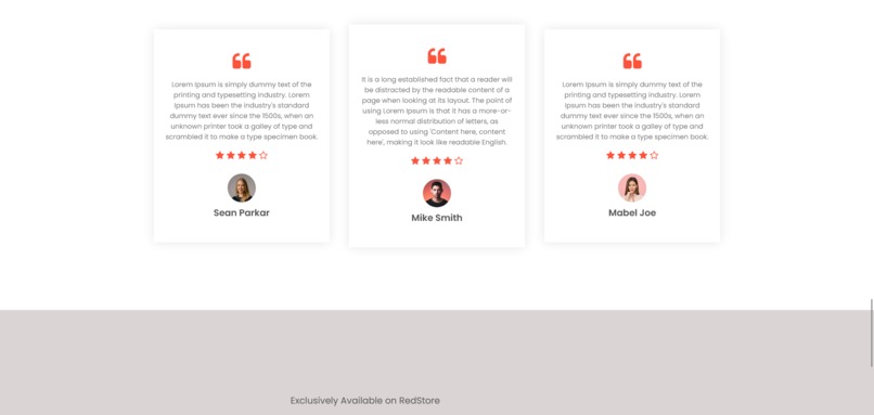 Neesole.co is shoe selling website – screenshot 3