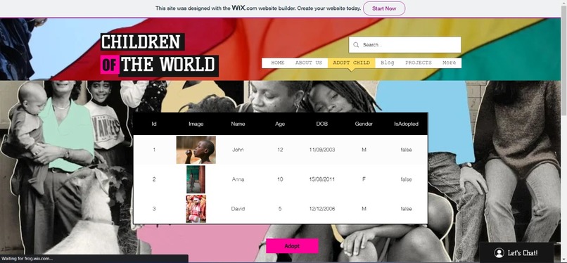 Adoptisity – screenshot 3