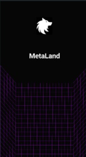 MetaLand – screenshot 6