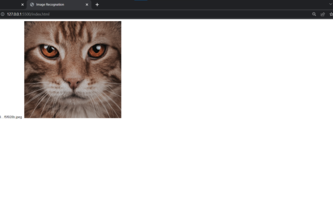 Image Recognation