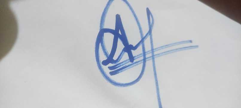 sign detect – screenshot 1