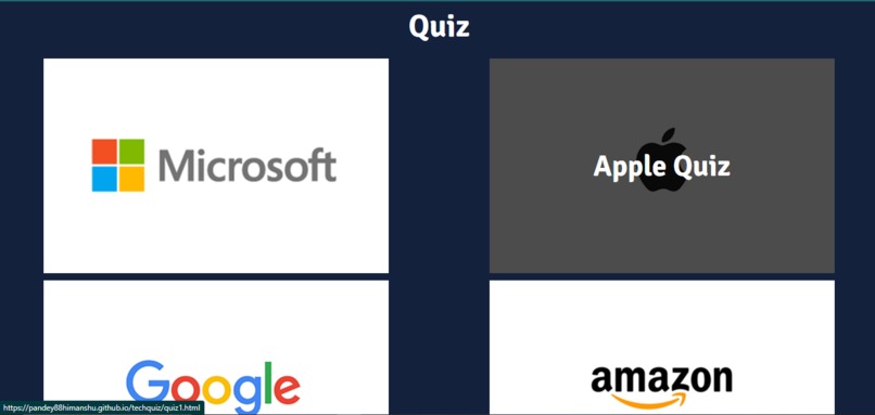 Online knowledge Assessment  – screenshot 2