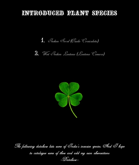 Introduced Plant Species  – screenshot 1