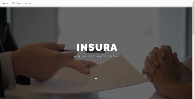 INSURA, an ML-Powered Insurance Premium Calculator – screenshot 1