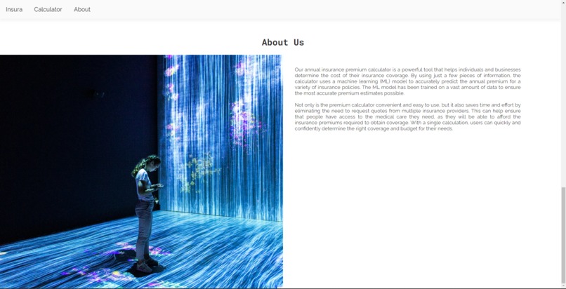 INSURA, an ML-Powered Insurance Premium Calculator – screenshot 3