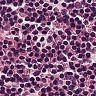 Ai-oncologist – screenshot 5