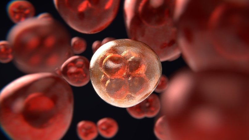 Ai-oncologist – screenshot 10