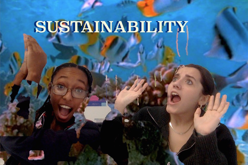Ability to have Sustainability  – screenshot 1