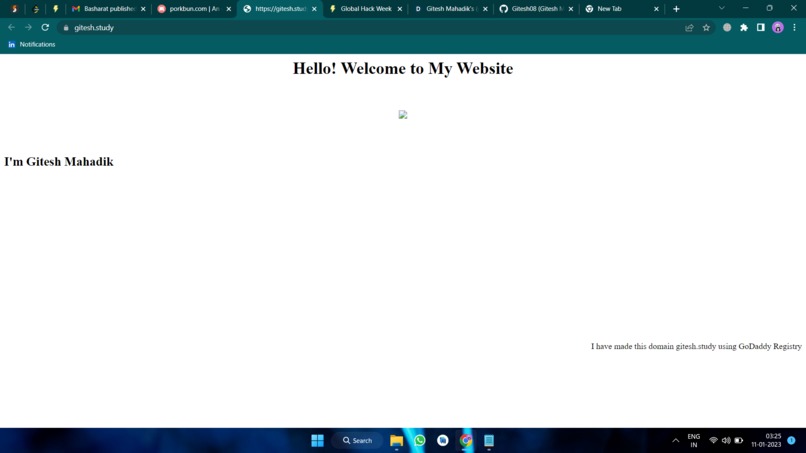 Set up a website with a custom GoDaddy Registry domain name – screenshot 4