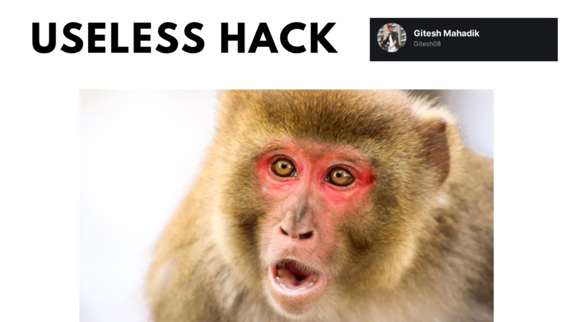 Useless Hack – screenshot 1