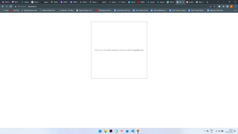 Set up a website with a custom GoDaddy Registry domain name! – screenshot 1