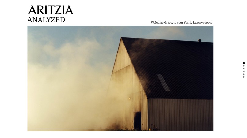 Aritzia Analyzed – screenshot 1