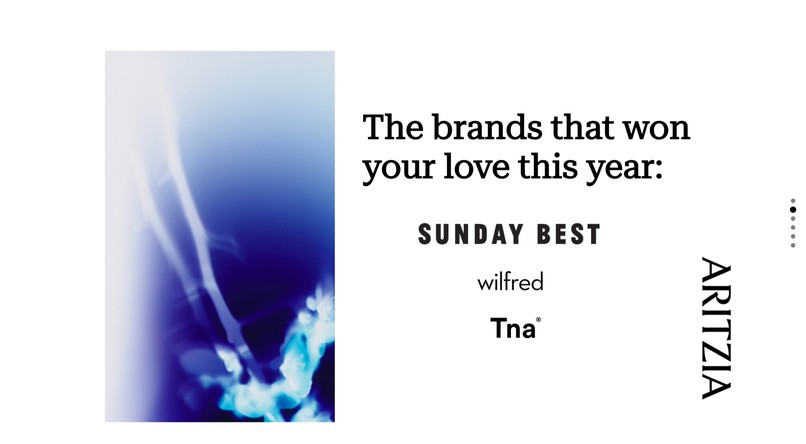 Aritzia Analyzed – screenshot 2