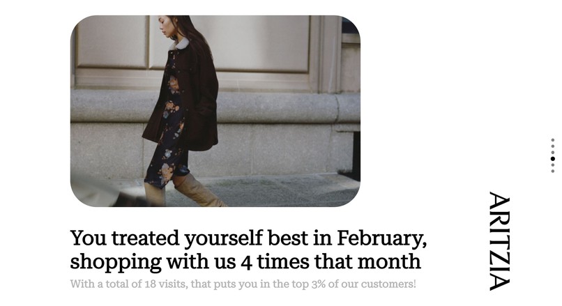 Aritzia Analyzed – screenshot 4