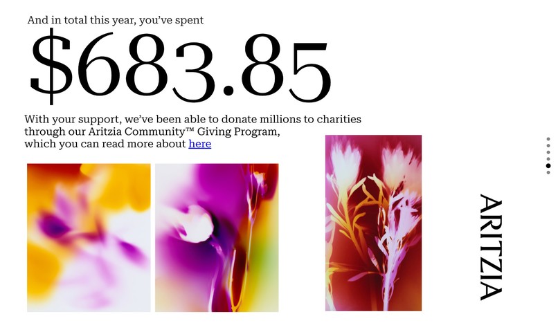 Aritzia Analyzed – screenshot 5