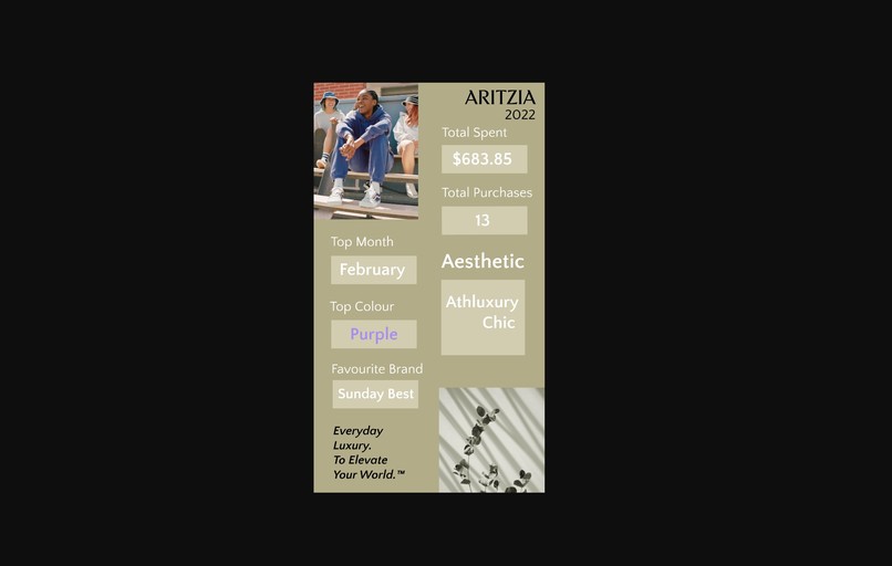 Aritzia Analyzed – screenshot 7