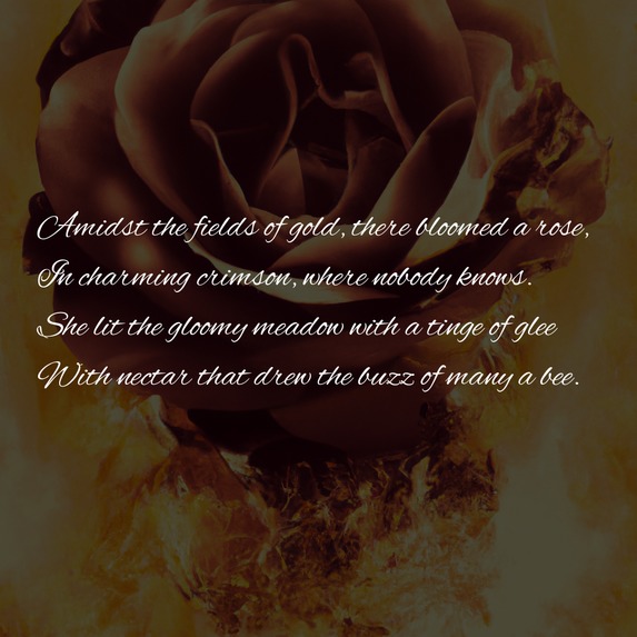 Poem2Reel – screenshot 2