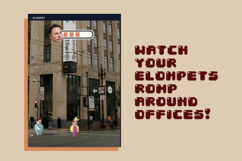 ElonPet – screenshot 2