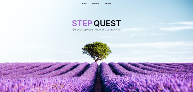 Step Quest – screenshot 1
