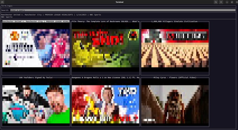 TermLingus – screenshot 1