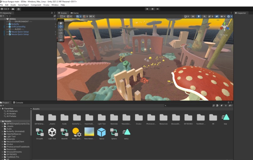 Focus-Fungus – screenshot 1