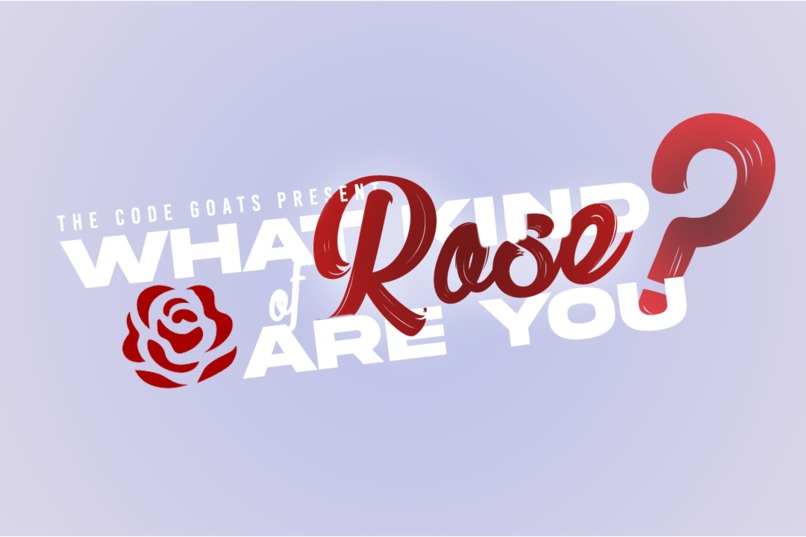 PERSONALITY TEST - What Kind of Rose Are You? – screenshot 1