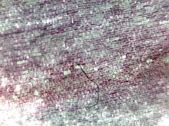 Smart Microscopic Computer Vision and Analytics -97 – screenshot 7