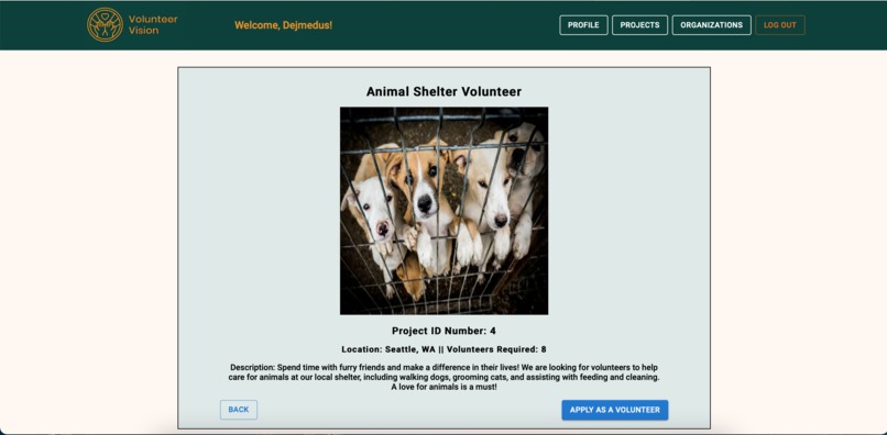 Volunteer Vision – screenshot 8