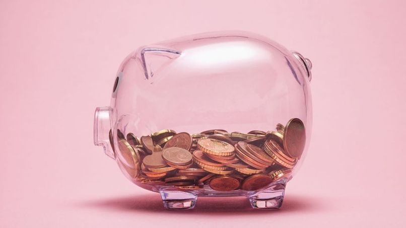 Budget Saving – screenshot 1