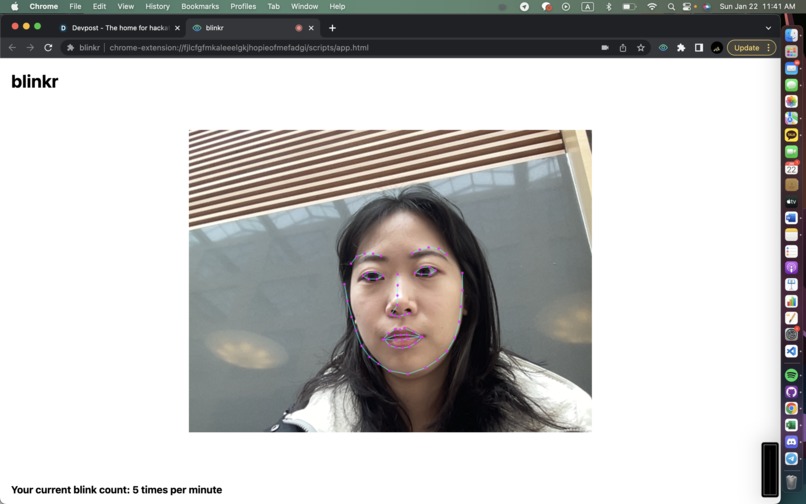 Blinkr: Smart Eye Protection – screenshot 3
