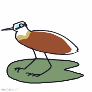 Jacana; Sustainable Habits – screenshot 1