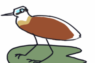 Jacana; Sustainable Habits