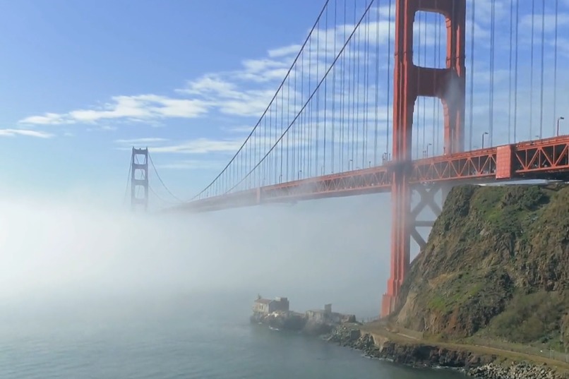 Seagull flyover – screenshot 2