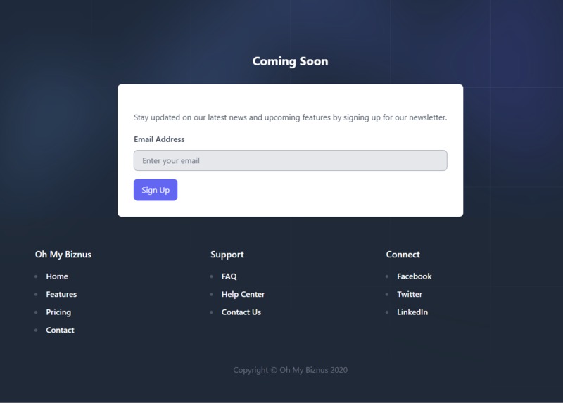 OhMyBizNus – screenshot 1