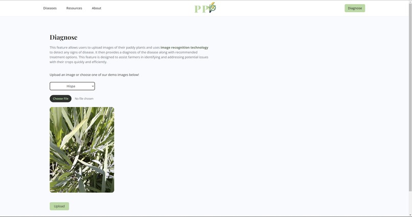 PaddyPlantPrognosis – screenshot 2