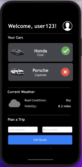 DriveWise – screenshot 1