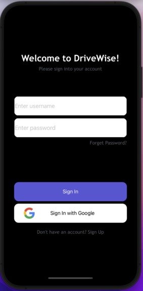 DriveWise – screenshot 5