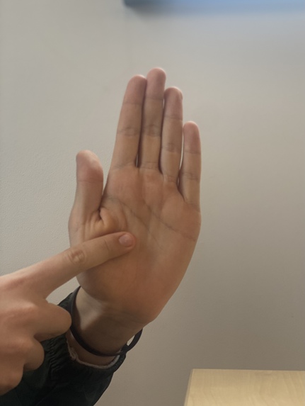 Michigan Hand Map – screenshot 2