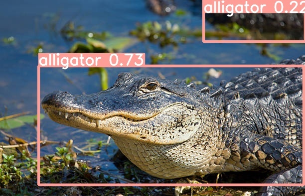 Swamp Vision – screenshot 3