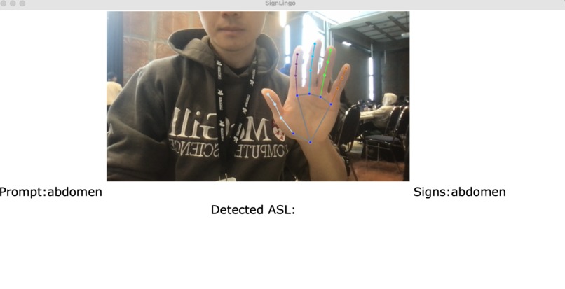 SignLingo – screenshot 2