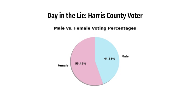 To Vote or Not to Vote – screenshot 3