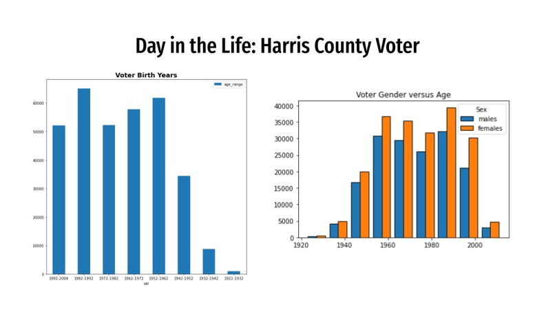 To Vote or Not to Vote – screenshot 6