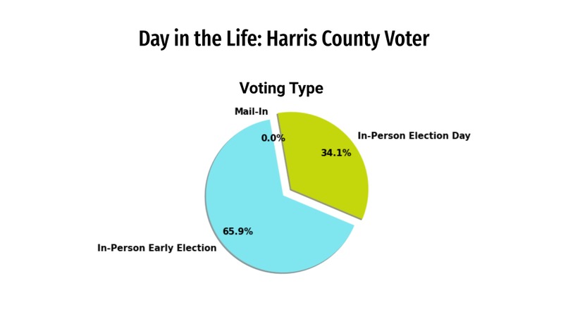 To Vote or Not to Vote – screenshot 7