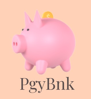 PgyBnk – screenshot 1