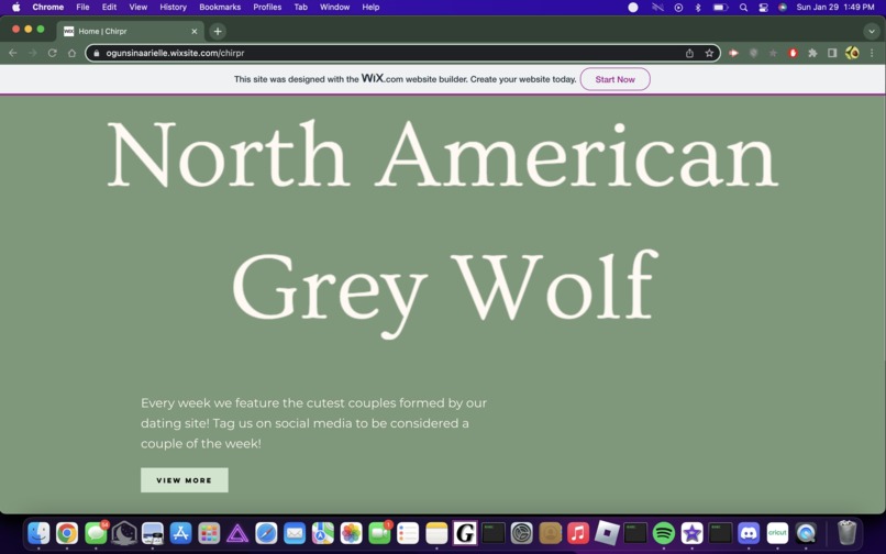 Chirpr - Where animal instincts takeover – screenshot 2